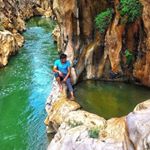 Profile Picture of Sam Moghadam (@moghadam6400) on Instagram