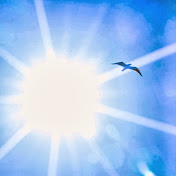 Profile Picture of Tammy Attama (@TammyAttama) on Youtube