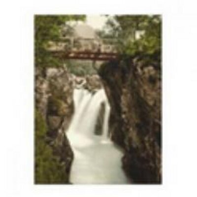 Profile Picture of Bobbi Field (@bobbi945) on Twitter