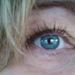 Profile Picture of Fawn Scott (@fawnsetta) on Pinterest