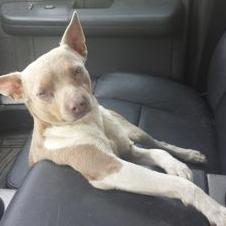 Profile Picture of Jason Bouska (@fbf8c2f3470a43c) on Twitter