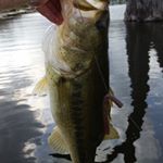 Profile Picture of Richard Tiller (@tw_gofish) on Instagram