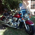 Profile Picture of Stacy Kolb Kahn (@mrs_sluggo) on Instagram