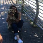 Avery Carpenter - Instagram Profile Picture of Avery Carpenter (@averycarpenter) on Instagram