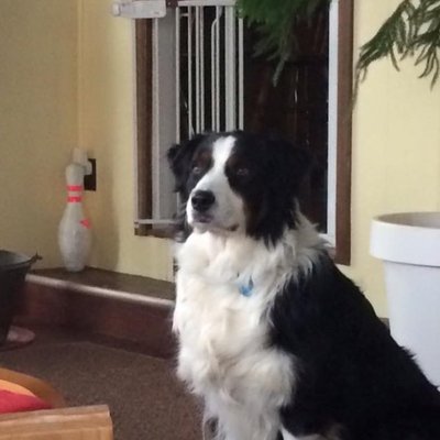 Profile Picture of Tom Lupo (@Firebox17) on Twitter