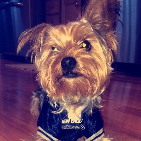 Profile Picture of Bailey Donahue (@baileydonahue) on Poshmark