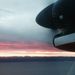 Profile Picture of James Hajdukovich (@jameshajdukovich) on Pinterest