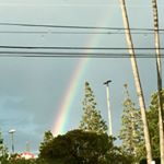 Profile Picture of rose cecil jones (@rose.c.jones) on Instagram