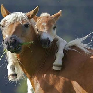 Profile Picture of Cheryl Coker (@Cheryl-Coker) on Facebook