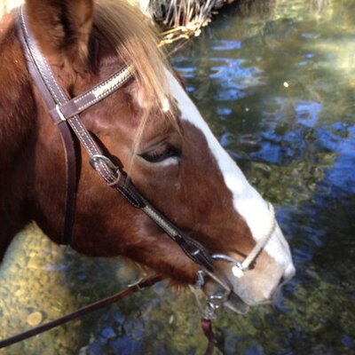 Jaclyn Garrison - Twitter Profile Picture of Jaclyn Garrison (@garrison_jac) on Twitter