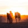 Profile Picture of Brian Marriott929 (@@keepinitwestern) on Tiktok