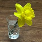 Profile Picture of Nikki Ebert (@nikkijoebert) on Instagram