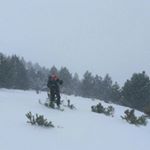 Profile Picture of Sergio Ledesma Fernandez (@sergioledesmafernandez) on Instagram