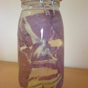 Profile Picture of Richard Morrison (@richard_morrison) on Myspace