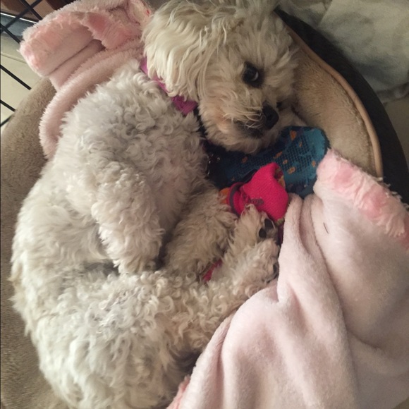 Profile Picture of Dominique Marletta (@domagirl) on Poshmark