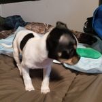 Profile Picture of Edward Stoliker (@edwardstoliker) on Instagram