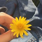 Profile Picture of Emma Abreu (@Emma-Abreu) on Facebook