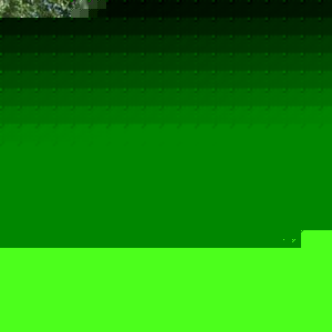 Profile Picture of Walter Zudich (@434636032) on Myspace