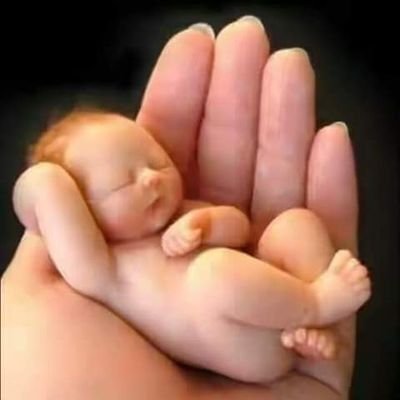 Profile Picture of Kenneth Leland (@KennethLeland4) on Twitter