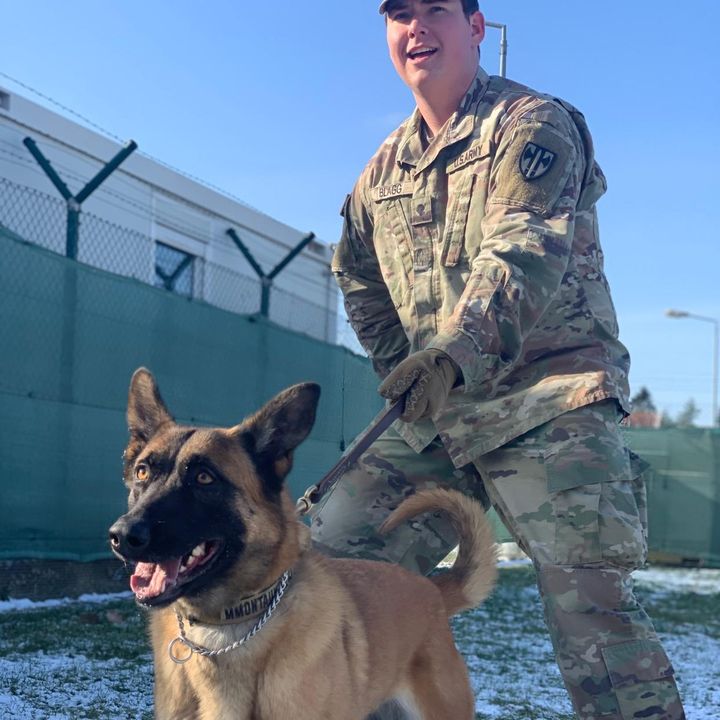 Profile Picture of Tyler Blagg (@tylerblagg38) on Tiktok