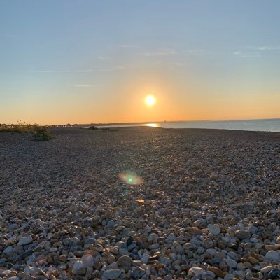 Profile Picture of Joe_Milam (@joemilam98) on Twitter