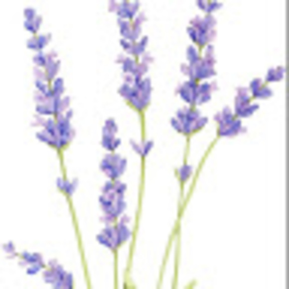 Profile Picture of Kallie Fretheim (@kalliefretheim) on Poshmark