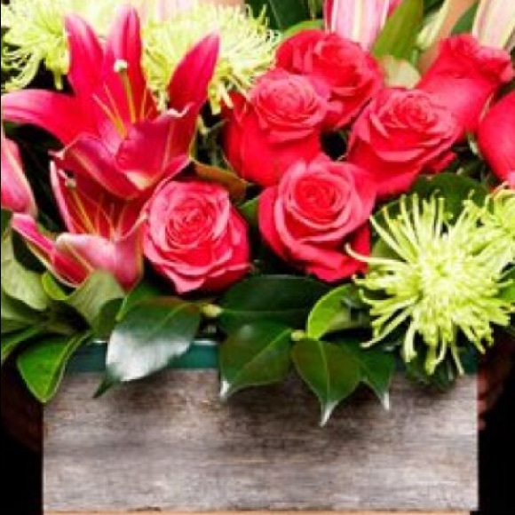 Profile Picture of Chrissy Palmer (@chrisyp7728) on Poshmark