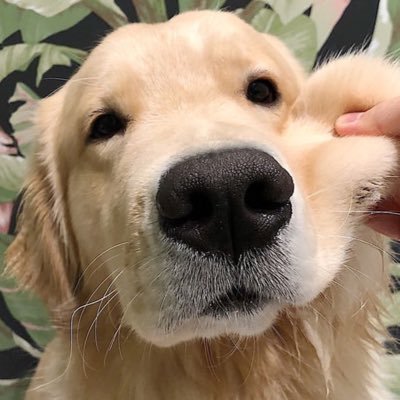 Profile Picture of Bianka (@Bnalerma0314) on Twitter