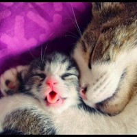 Profile Picture of Jacqueline Lee Ahmed (@jacqueline-lee-ahmed) on Quora