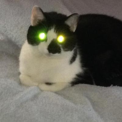 Profile Picture of James E Kiser (@Jim8400E) on Twitter