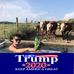 Profile Picture of Mike Testa (@mike.testa.372) on Facebook