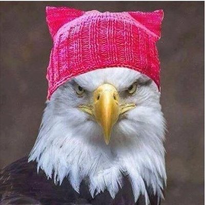 Profile Picture of Heidi Clare (@TrinaForest2) on Twitter