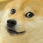 Profile Picture of Jesse MacKenzie (@jay_mackenzie_) on Instagram