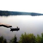 Profile Picture of Pamela McKenna (@pamela_mckenna) on Instagram