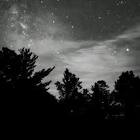 Profile Picture of   Michi Live on TikTok (@pandaland087) on Tiktok