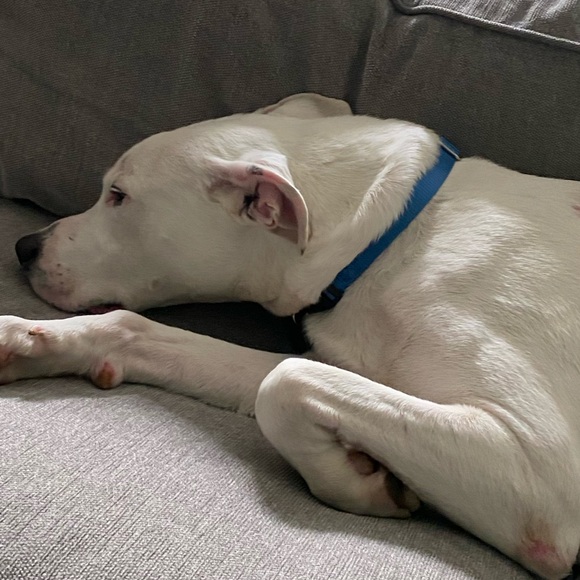 Profile Picture of Ben Kronfeld (@benkronfeld) on Poshmark