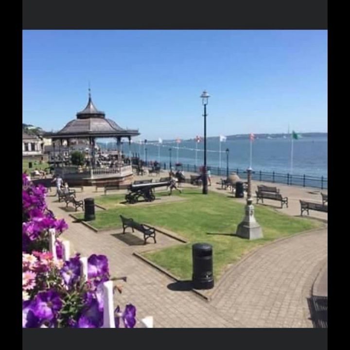 Profile Picture of Paul Harte (@thedownfallofcobh) on Tiktok
