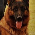 Profile Picture of Librado Cuevas (@libradocuevas) on Instagram