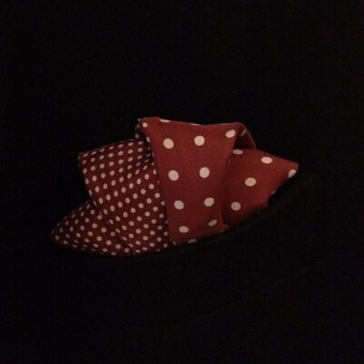Profile Picture of Alex Mr Pang (@alexsiukipang) on Twitter