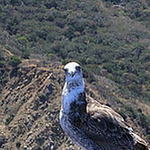 Profile Picture of Howard Richter (@hbr_cox) on Flickr