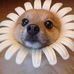 Profile Picture of Lori Beyer (@lori.beyer.963) on Facebook