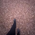 Profile Picture of George Wicks (@George-Wicks) on Facebook