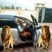 Profile Picture of Peter Samon (@peter.samon.31) on Facebook
