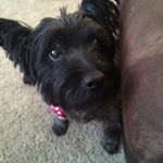 Profile Picture of Jane Dunlap (@janedunlap58) on Instagram