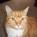 Profile Picture of Eileen Wilkinson (@eileen.wilkinson.140) on Facebook