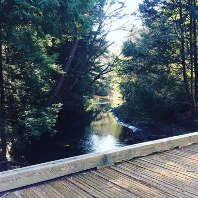 Jeffrey - Twitter Profile Picture of Jeffrey (@jeffreygriest) on Twitter