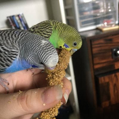 Profile Picture of Autumn Baxter (@AutumnB38048132) on Twitter