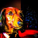 Profile Picture of Andrew Poteat (@andrewpoteat524) on Instagram