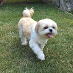 Profile Picture of Carlos Freddy Urgiles (@curgiles_) on Instagram