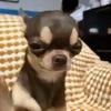 Profile Picture of arronlaborde (@arronlaborde) on Tiktok